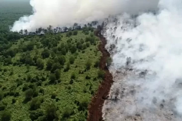 10 Hari Pertama Agustus Semua Provinsi Waspada Kebakaran Hutan