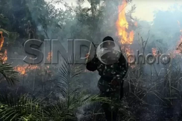 Cuaca Ekstrem Landa Sejumlah Wilayah di tempat di Indonesia, Karhutla hingga Angin Putting Beliung