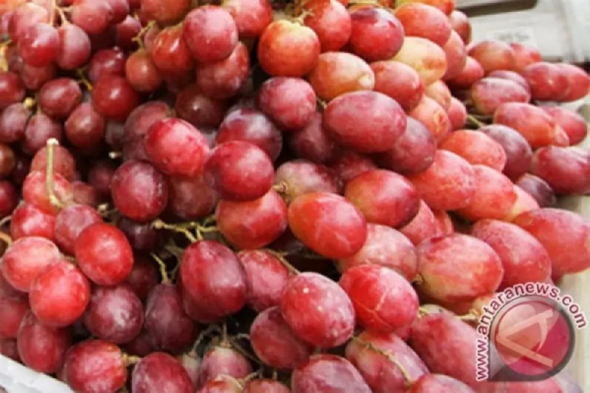 7 makanan sehat yang tersebut bantu menjaga fungsi ginjal tetap saja cuma optimal
