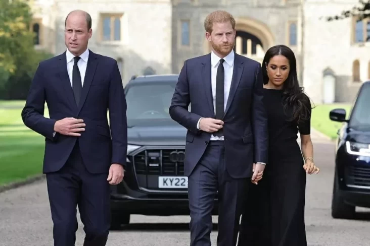 Pangeran William juga Harry Sulit Damai, Meghan Markle Disebut Jadi Biang Kerok