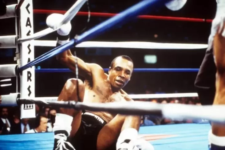 Siapa Petinju dengan Pukulan Terkeras versi Sugar Ray Leonard?