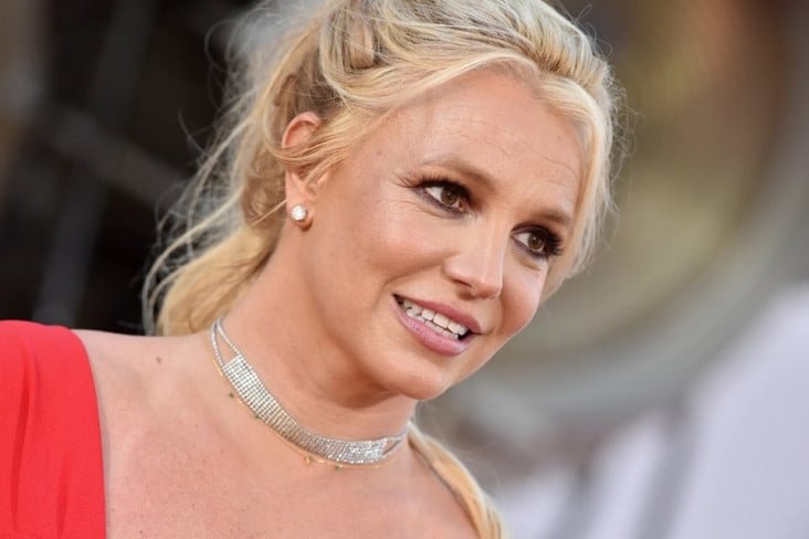 Kondisi Britney Spears Bikin Khawatir, Rumah Berantakan juga Dipenuhi Kotoran Anjing