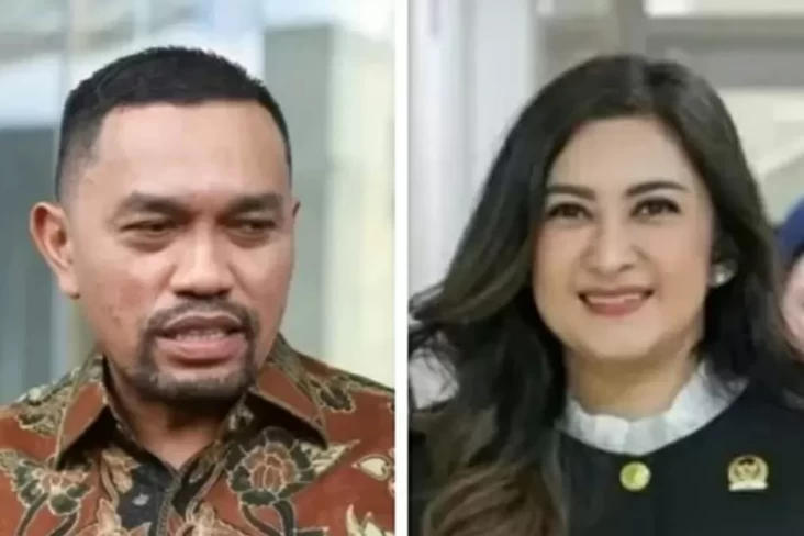 Nasdem Minta Penghentian Gaji hingga Tunjangan Anggota DPR Ahmad Sahroni lalu Nafa Urbach