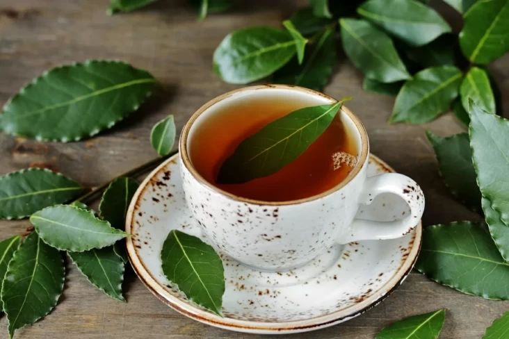 Rebusan Daun Salam Ampuh Atasi Asam Urat? Hal ini adalah Cara Konsumsi juga Manfaatnya