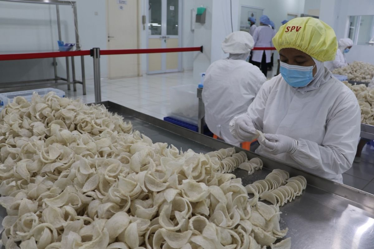 Sejarah sarang burung walet sebagai komoditas unggulan Negara Negara Indonesia