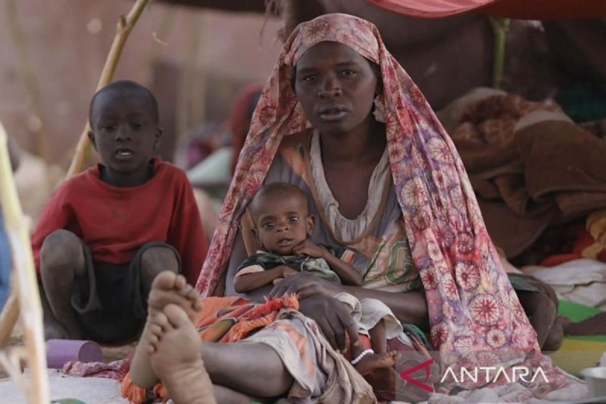 Periode Sabit Merah Sudan tampung 7.500 pengungsi akibat serangan RSF