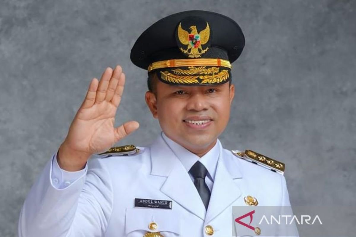 Profil Abdul Wahid, Pengelola Riau yang digunakan yang disebutkan terjerat OTT KPK