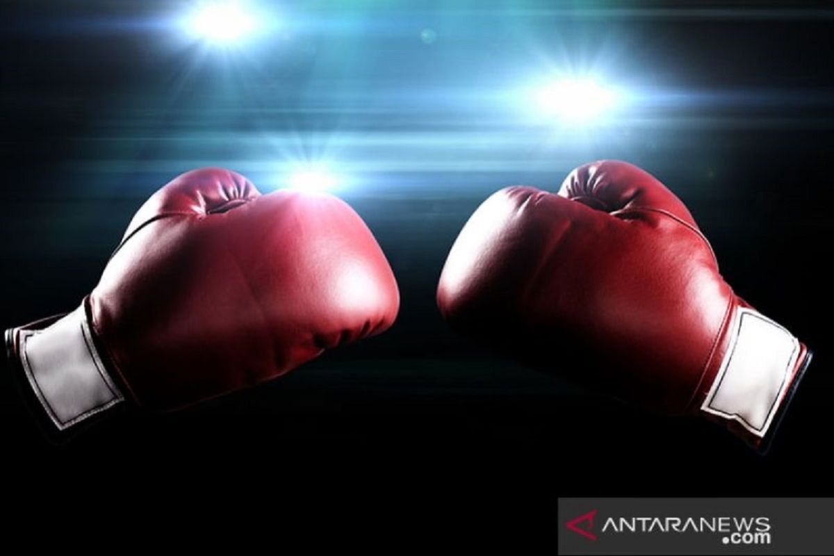 Daftar juara globus tinju WBC usai Naoya Inoue taklukkan Picasso