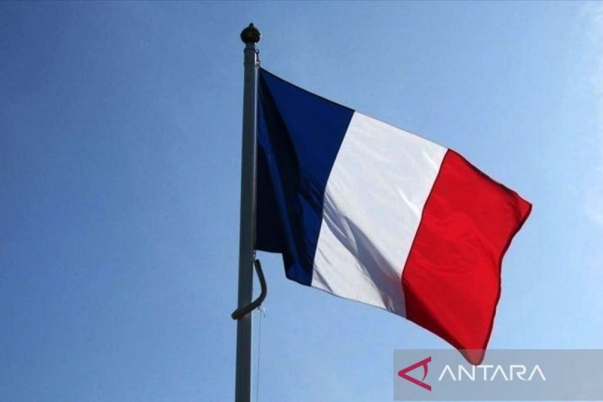 Mayoritas warga Prancis mengupayakan membantah petani pada di berada pada wabah LSD