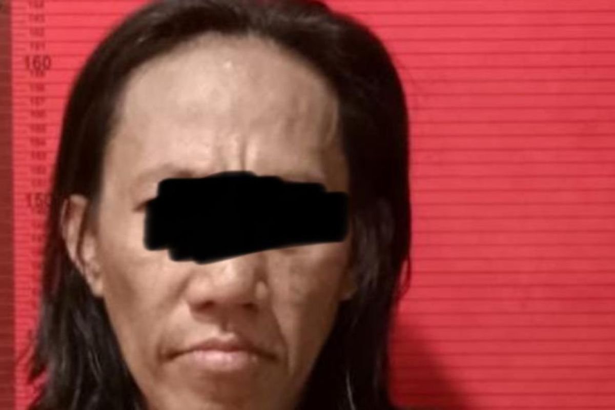 Pria ke Jakut ancam ibu kandung dengan parang sebab hilangkan sabu