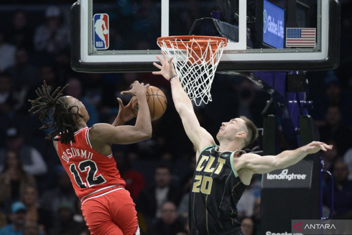 Dosunmu niat bertahan dalam pada Timberwolves dengan kontrak capai Rp2 triliun