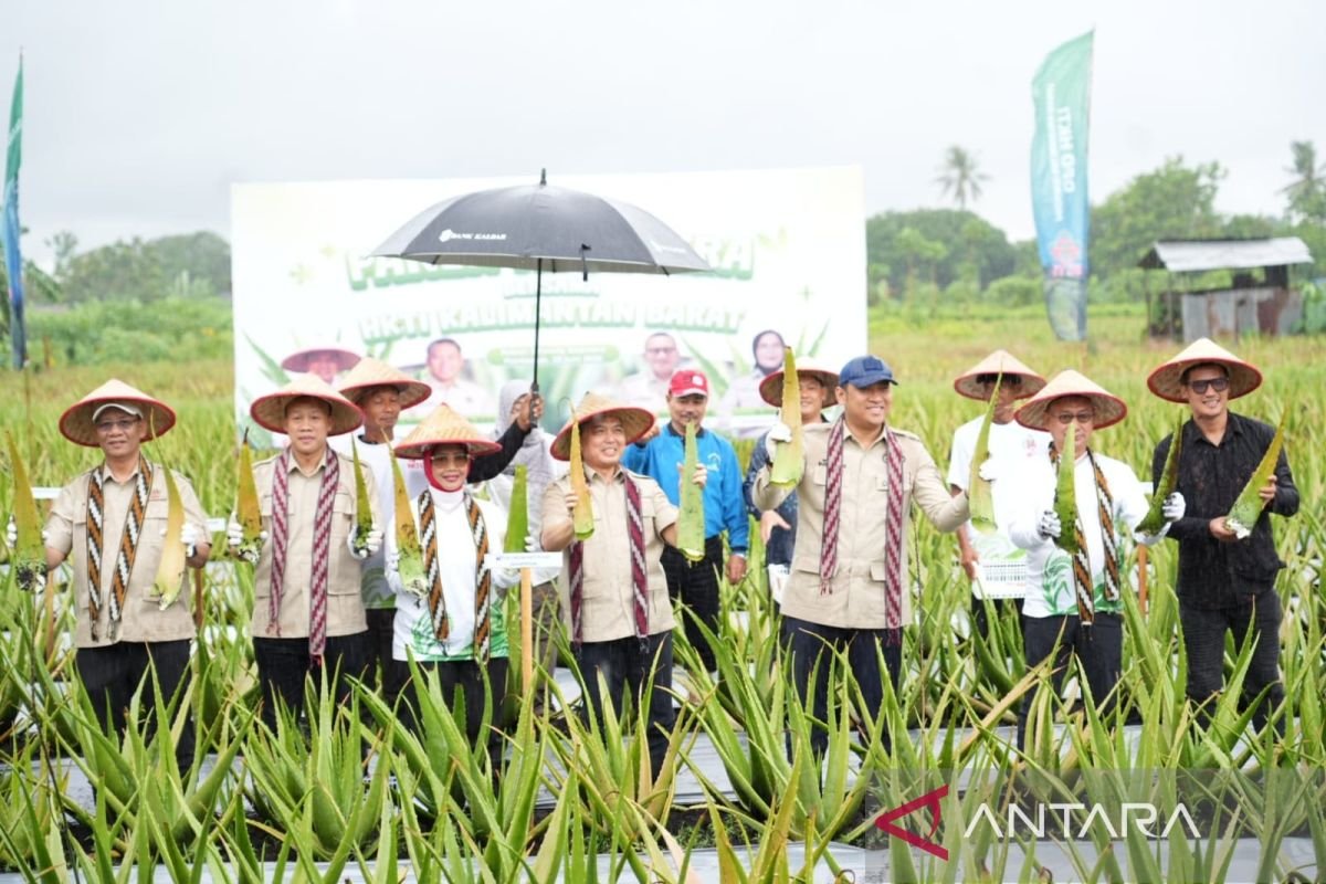 Kementan dorong tahapan pengolahan tambahan lanjut produk-produk lidah buaya ke pada Pontianak