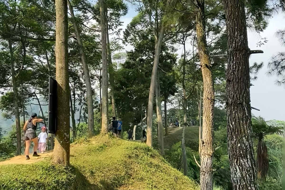 10 tempat treking dalam Bogor yang dimaksud dimaksud wajib dikunjungi, cocok untuk pemula