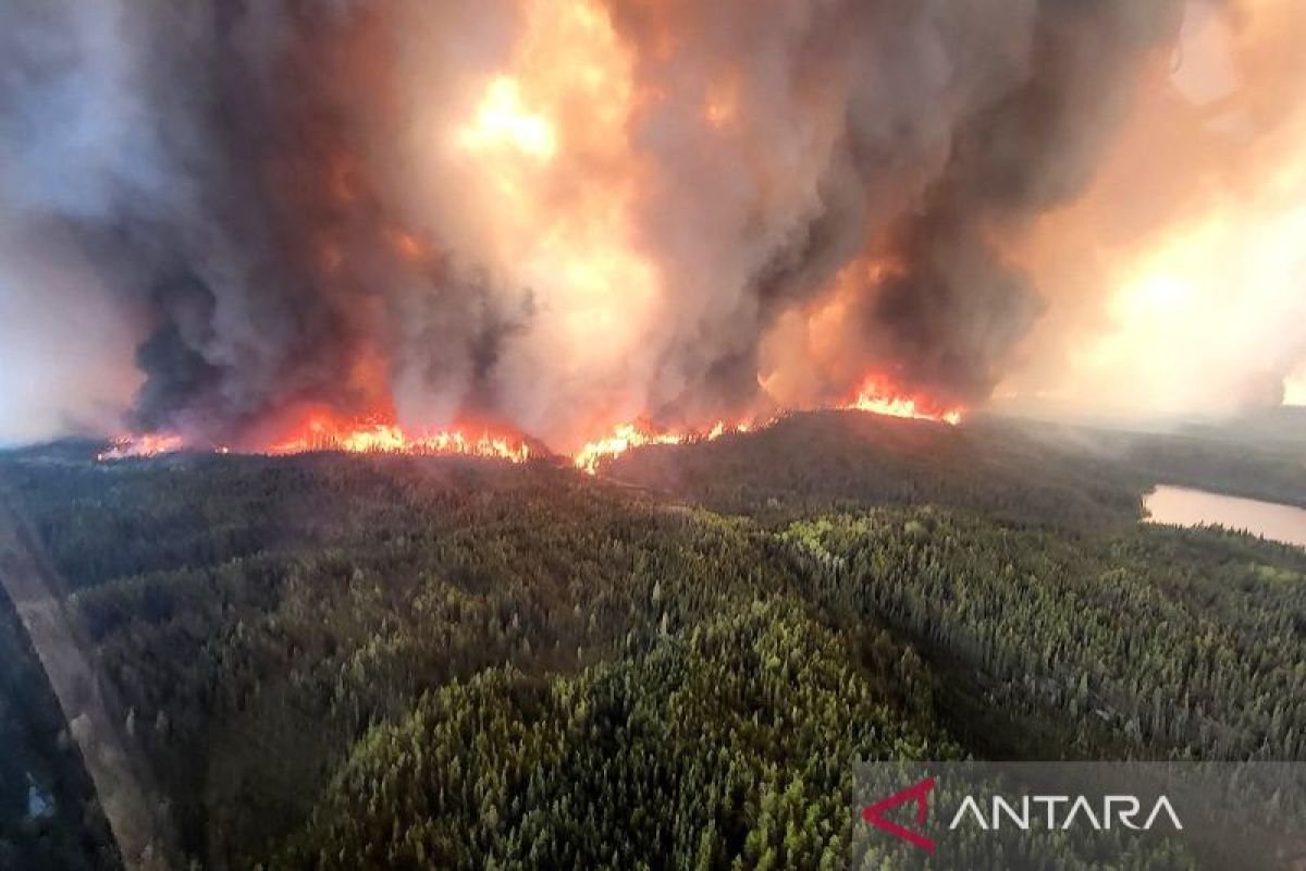 Trump minta Kanada tanggung biaya asap kebakaran hutan via tarif impor